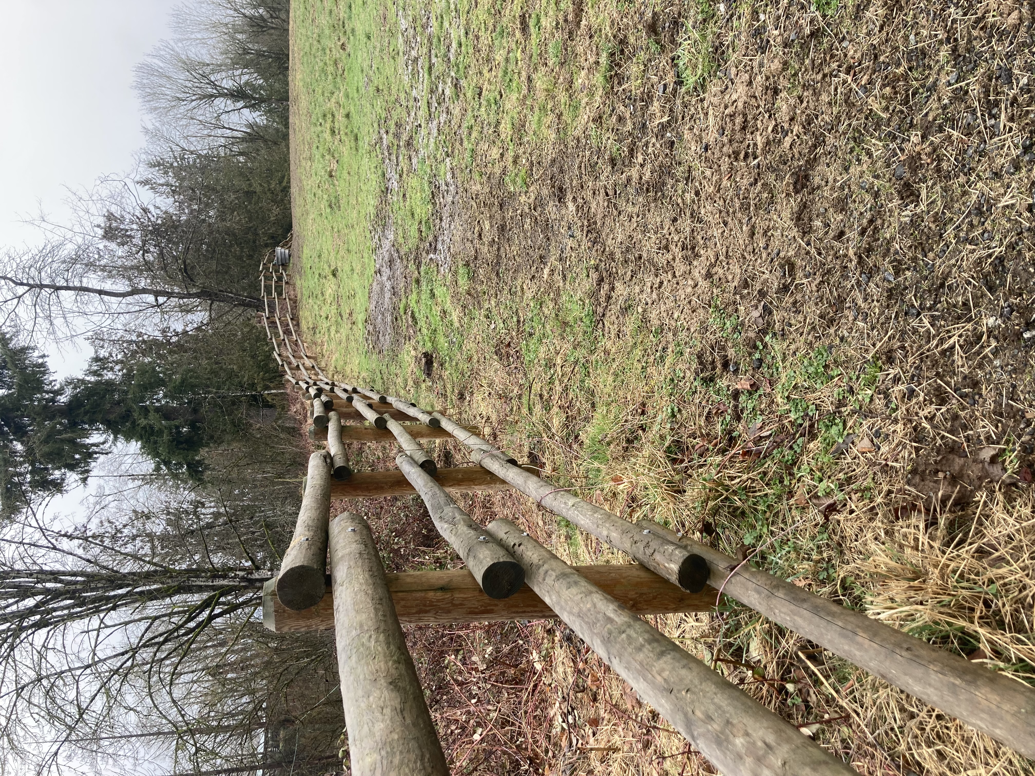 fence by Left Post Fencing