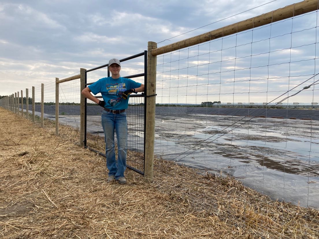 Completed deer fence